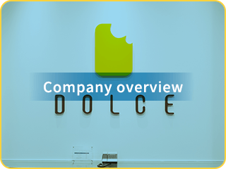 Company overview