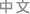中文